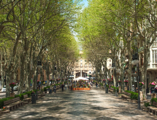 Three Wise Men shopping in Palma