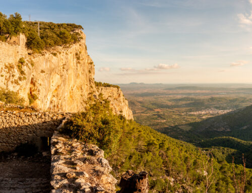 Visiting Palma de Mallorca in winter