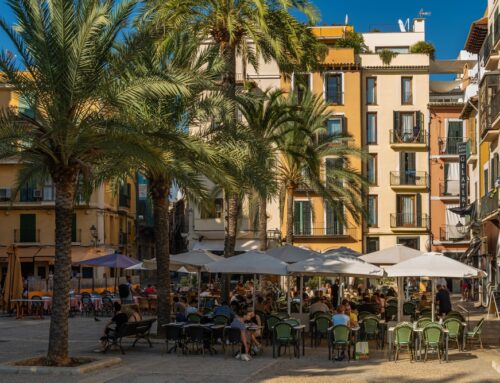 The most pleasant restaurants in Palma de Mallorca in winter