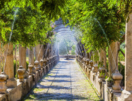 Jardines de Alfabia: Un paraíso terrenal